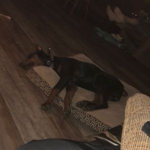 Meet your Posher, Me